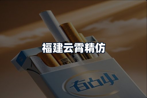 福建云霄精仿